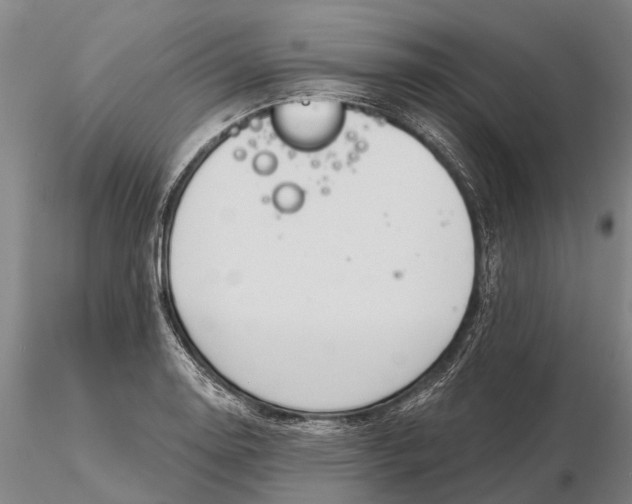 X0000116151130200912141151