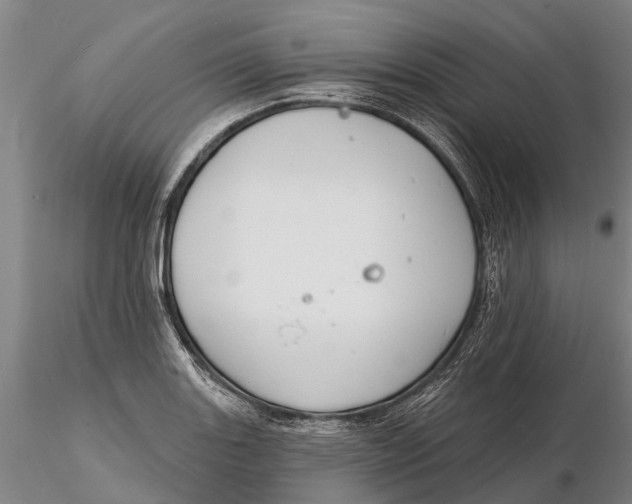 X0000116151131200912141151