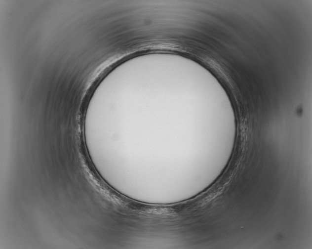 X0000116151133200912141151