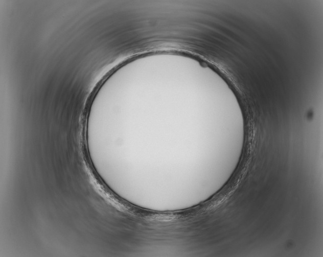 X0000116151134200912141151