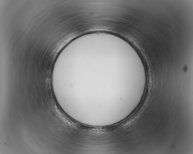 X0000116151137200912141151