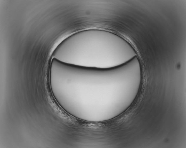 X0000116151138200912141151