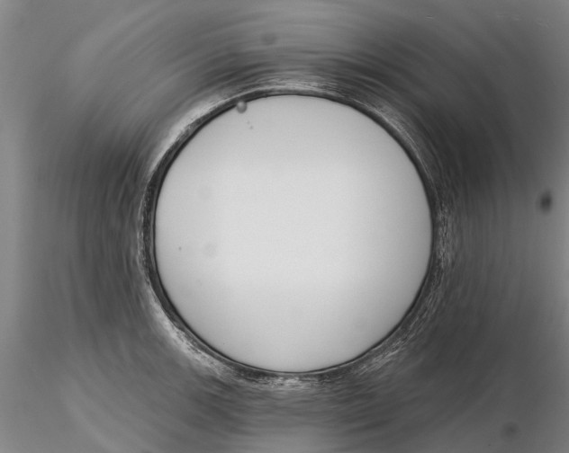 X0000116151139200912141151