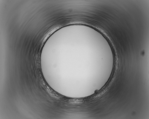 X0000116151145200912141151