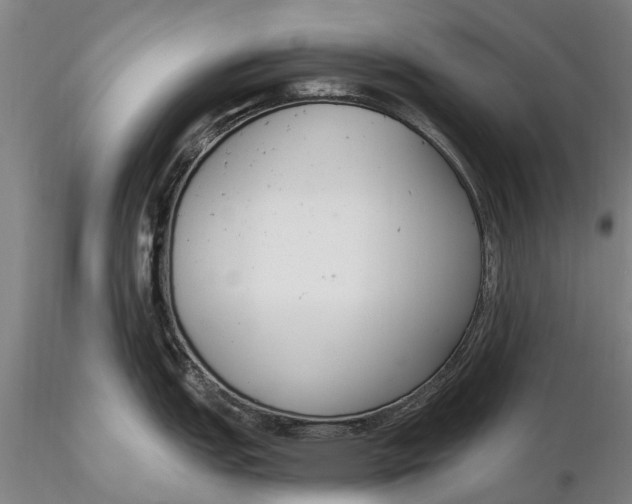 X0000116151151200912141151