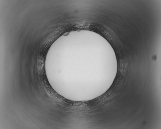 X0000116151154200912141150