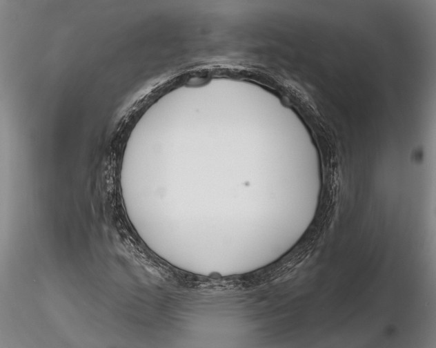 X0000116151159200912141150