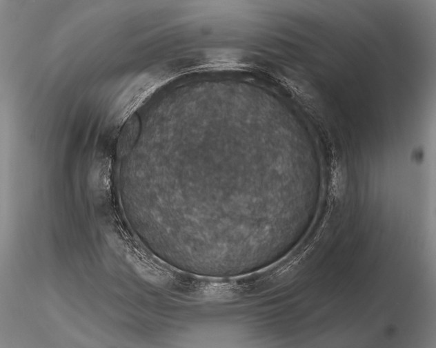 X0000116151161200912141150