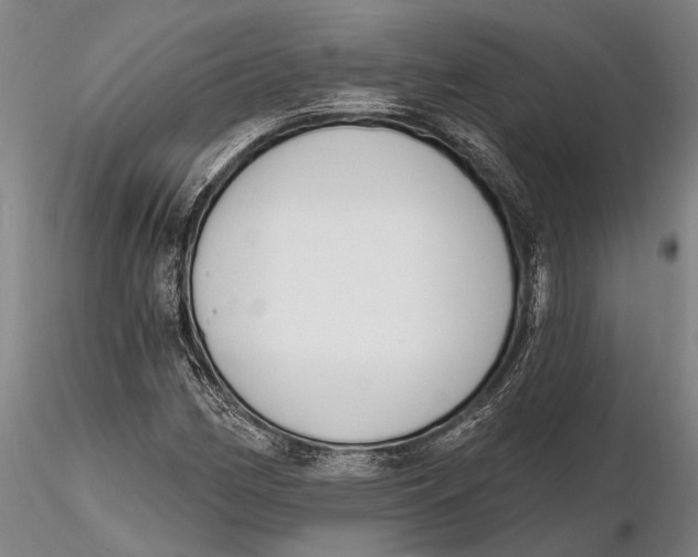 X0000116151162200912141150