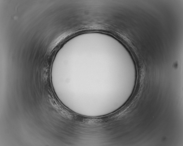 X0000116151163200912141150