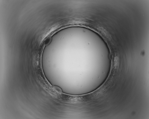 X0000116151165200912141150