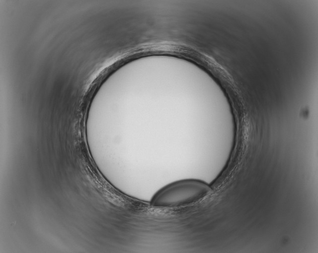 X0000116151166200912141150