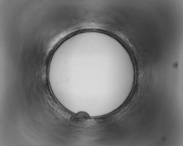 X0000116151167200912141150