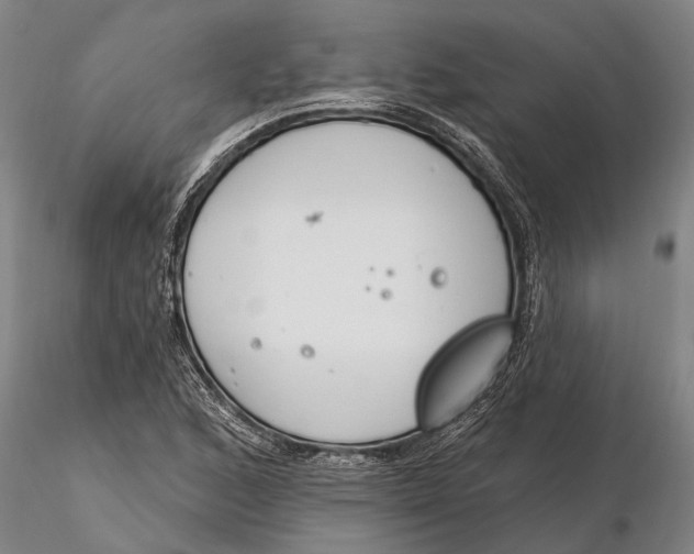 X0000116151168200912141150