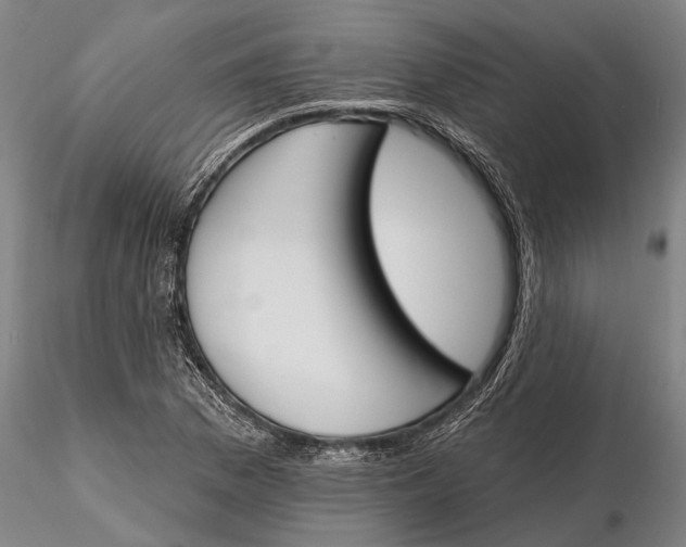 X0000116151169200912141150