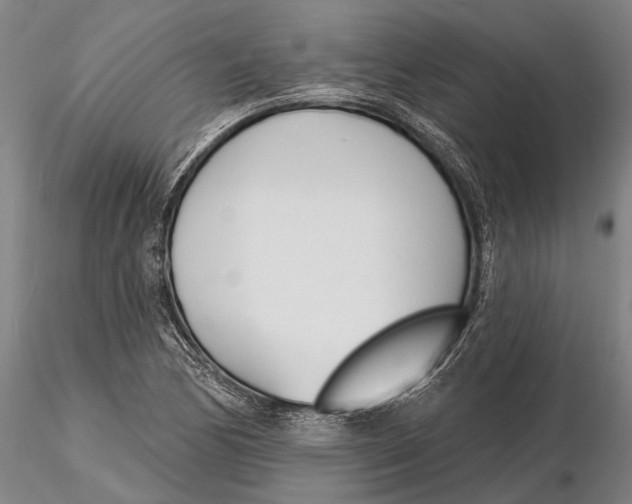 X0000116151170200912141150