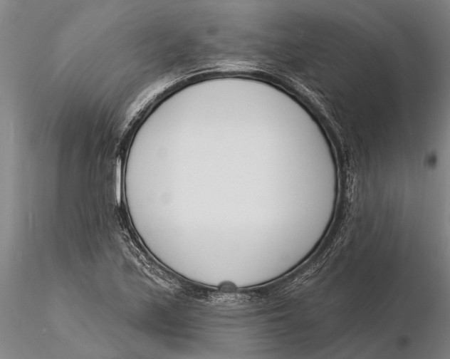 X0000116151171200912141150