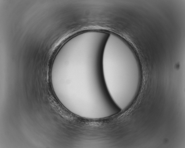 X0000116151173200912141150