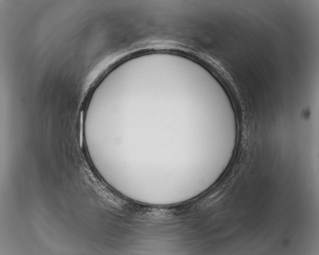 X0000116151175200912141150