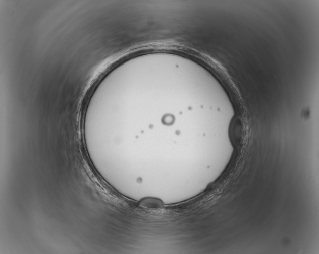 X0000116151176200912141150