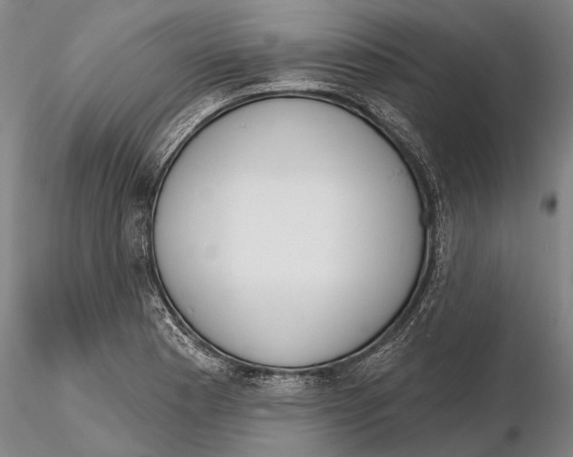 X0000116151177200912141150