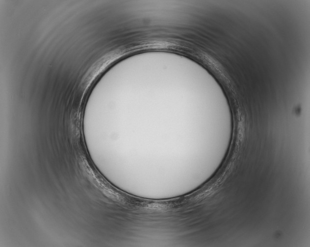 X0000116151178200912141150