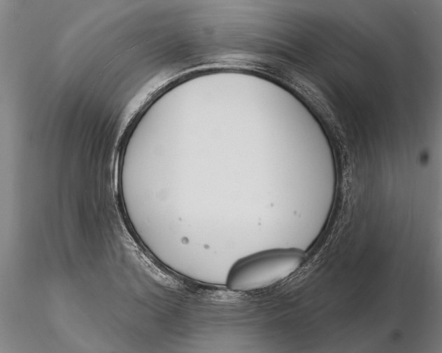 X0000116151180200912141150