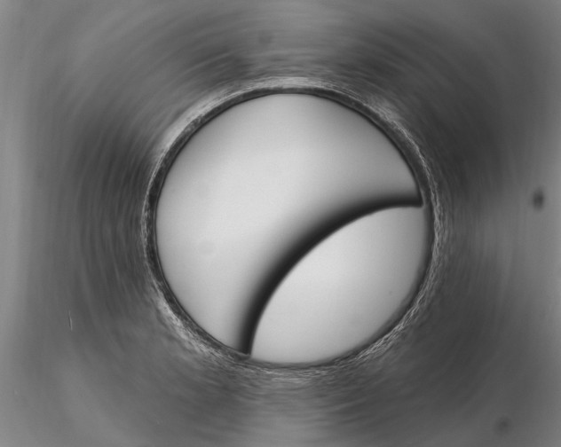 X0000116151181200912141150