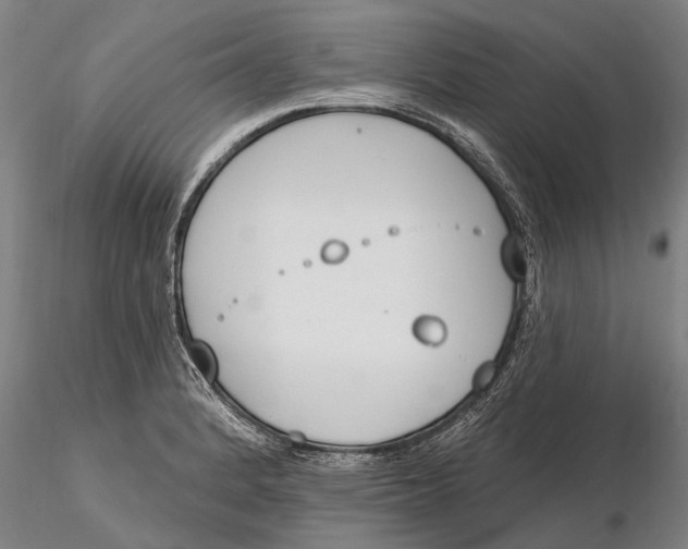 X0000116151184200912141150