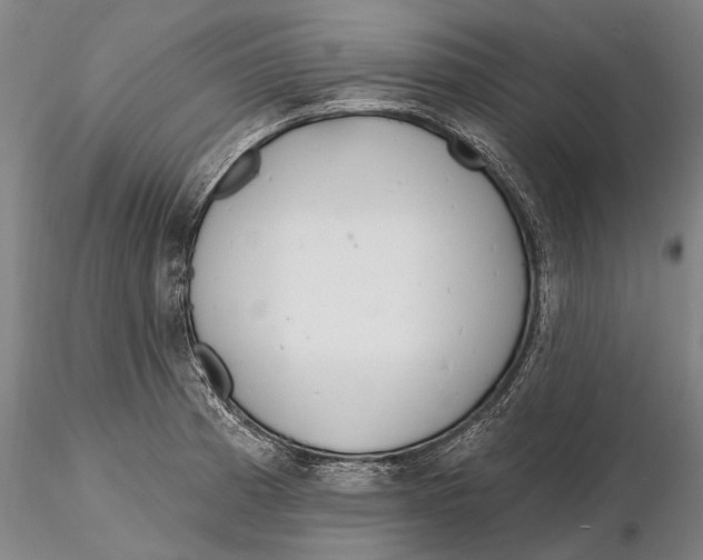 X0000116151185200912141150