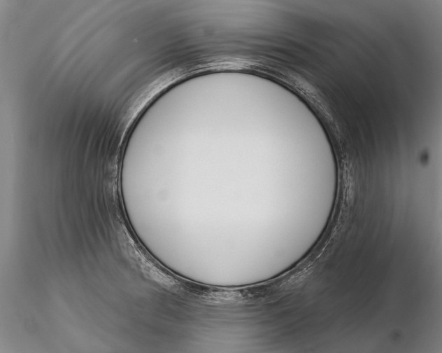 X0000116151186200912141150