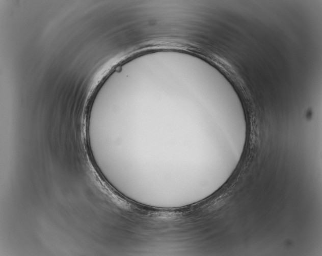 X0000116151188200912141150