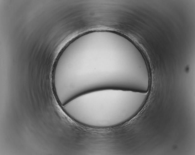 X0000116151189200912141150