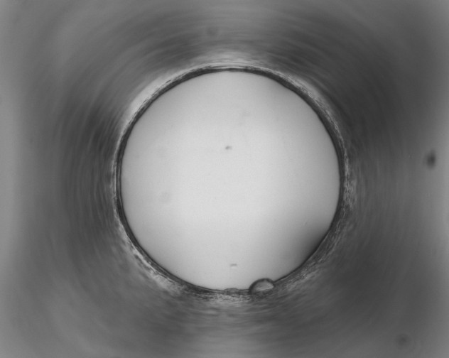 X0000116151191200912141150