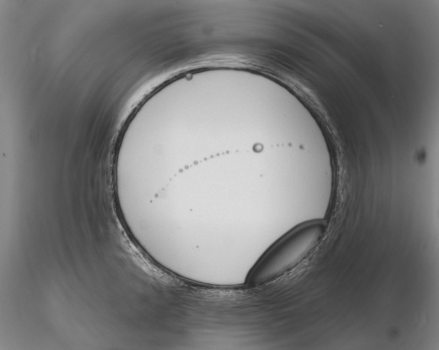 X0000116151192200912141150