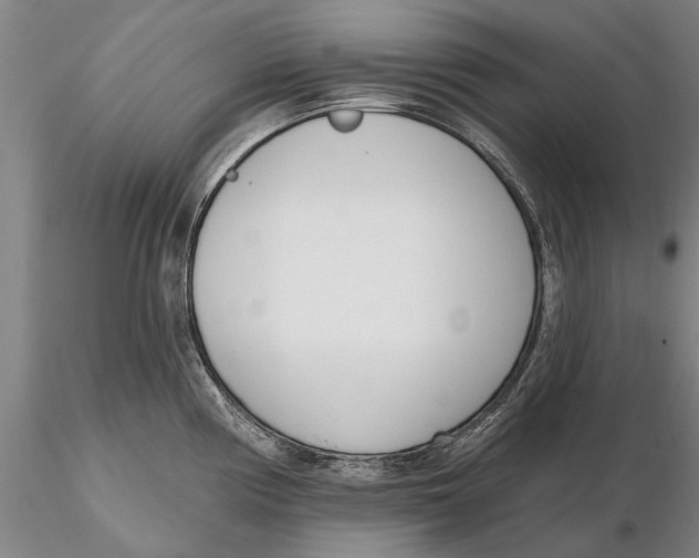 X0000116151194200912141150