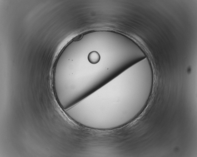 X0000116151196200912141150