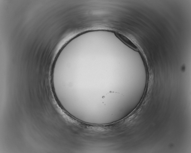 X0000116151197200912141150