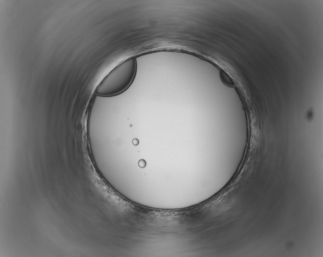 X0000116151198200912141150