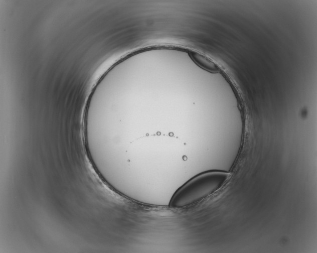 X0000116151199200912141150