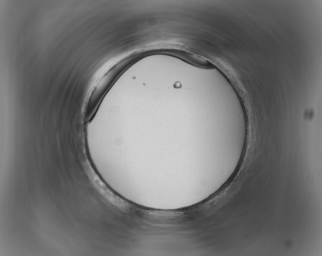 X0000116151200200912141150