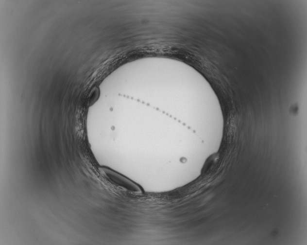 X0000116151202200912141149