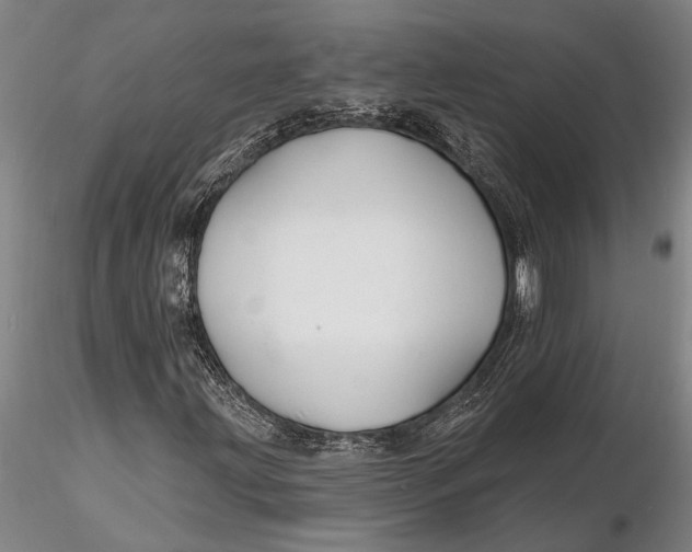 X0000116151203200912141149