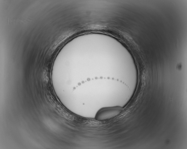 X0000116151209200912141149