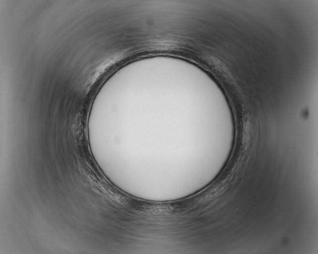 X0000116151210200912141149