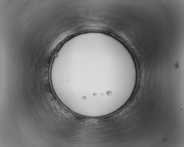 X0000116151211200912141149