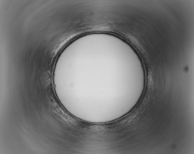 X0000116151212200912141149