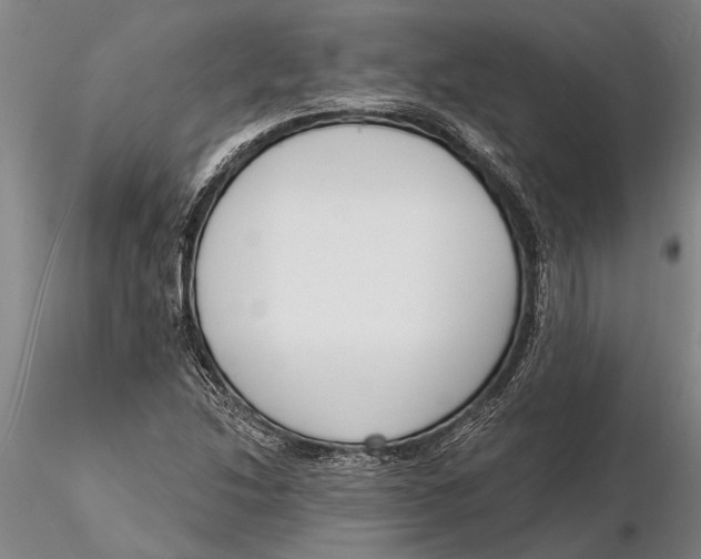 X0000116151214200912141149