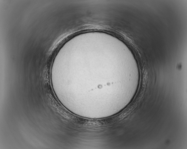 X0000116151215200912141149