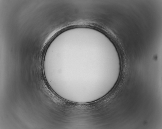 X0000116151216200912141149